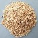 Jay Brand Paddy Seeds | 500G | Corny in Flavor | Rich Protein And Fiber | Rice Seeds | Indian Origin (Pack of 2) - Buy Online on GoSupps.com