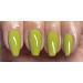 Bluesky Gel Nail Polish OLIVE GREEN BE REAL SUMMER 2023 SS2313 UV LED Soak Off 10ml (Requires Curing Under UV LED Lamp) From The Speak Your Truth In Summer Collection  - Buy Online on GoSupps.com