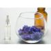 Transparent Plastic Spray Bottles Set - 4PCS Reusable Fine Mist Atomiser for Essential Oils & Travel (100ml 3.5oz) - Ideal for Perfume & Liquid Storage - Buy Online on GoSupps.com