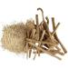 Snape's Organic Shatavari Powder - 250g | Asparagus Racemosus Supplement - Buy Online on GoSupps.com