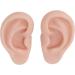 Ear Models Easy to Wear Soft Silicone Reusable Human Ear Models 1 Pair for Ear Piercing Practice (Medium Skin Color) - Buy Online on GoSupps.com