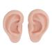 Silicone ear model soft silicone ear model artificial ear model 1 pair of soft flexible simulation ear model for earrings display ear piercing exercise (medium skin color)