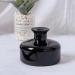 200 ml Glass Diffuser Bottles - Aromatherapy Vessel for DIY Essential Oils & Fragrance Accessories | Replacement Sticks - Black/Blue - Buy Online on GoSupps.com