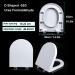 Soft Close Toilet Seat D Shape Toilet Seat (W 36Cm L 40-45Cm) Durable Removable Easy Cleaning Urea Formaldehyde Toilet Seat White Little Surprise - Buy Online on GoSupps.com