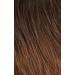 Sensationnel What Lace 13x6 Wigs - LATISHA Synthetic Wig Cloud 9 with Pre-Plucked Hairline HD Lace (T1B/30) - Shop Internationally for Quality Wigs - Buy Online on GoSupps.com
