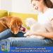 PetTest Control Solution for Blood Glucose Meter - 4ml for Diabetic Cats & Dogs - Buy Online on GoSupps.com