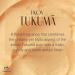 Natura - Ekos Tukum Replenishing Body Lotion - Vegan Skin Care - Moisturize & Improve Skin Texture - Boost Hyaluronic Acid - Brazilian Beauty Secrets - Self Care & Body Care - 13.5 fl oz (400ml) - Buy Online on GoSupps.com