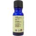 Shop Premium Ginger Essential Oil 10ml | International Shipping Available - Buy Online on GoSupps.com