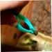 ibasenice 40 Pcs Reptile Feeding Clip Feeding Clamp Animal Crawl 20pcsx2pcs Greenx2pcs - Buy Online on GoSupps.com