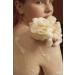The Body Shop British Rose Petal Soft Shower Gel 8.4 fl. oz - Buy Online on GoSupps.com