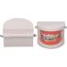 Orthodontic Tooth Model with Metal Brackets - Ideal for Teaching & Research in Laboratories | International Shipping - Buy Online on GoSupps.com