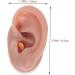 Healvian Human Ear Model Massage Kit Piercing Tools - Silicone Coffee Ear Mold 6.5x3.5cm - Buy Online on GoSupps.com