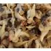 Dried Seafood Mussel Meat 750 grams from South China Sea Nanhai