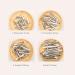 60 pcs Alligato Hair Clips - Metal Alligator Clips for Bows Making - Silver Bulk Alligator Bow Clips - 3 Sizes - Single Prong with Teeth - Crafts Supplies - Buy Online on GoSupps.com