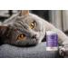Futtermedicus Feli Senior 150g - Supplementary Feed for Older Cats | Vitamins & Minerals | Tasty Fish Powder - Buy Online on GoSupps.com