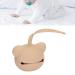 Buy Silicone Pacifier Chain Holder - Dishwasher-Resistant Protective Travel Bag for Newborns | Modern Coffee Color Nipple Clips - Buy Online on GoSupps.com