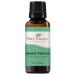 Plant Therapy Sweet Fennel Essential Oil 30 mL (1 oz) 100% Pure Undiluted Therapeutic Grade