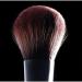TQ Large Powder Brush for Loose or Compact Powder and Mineral Foundation Makeup Application and Blending - Buy Online on GoSupps.com