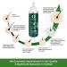 Organic Forest Hair Fall Control Oil - 100% Chemical Free | Argan Almond Coconut Onion & Bhringraj | Hair Oil for Men & Women | 3.4 fl. Oz - Buy Online on GoSupps.com