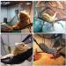 QUUPY 2 Reptile Hammock Set Triangle Breathable Net Breathable Mesh Lizard hammock for Large and Small Bearded Dragons Anoles Geckos Lizards or Snakes 33x33x48cm Black - Buy Online on GoSupps.com