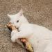 Kitty Kick Stix 11 - Set of 2 Catnip Kicker Toys, Made in USA - Buy Online on GoSupps.com