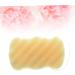 Didiseaon Hair Clips for Thin Hair Body Sponge Bathing Sponge Sponges for Body Natural Sponges Sponge for Skin Care Headpiece Holder Cleansing Sponge Facial Sponge Cleaning Supplies - Buy Online on GoSupps.com