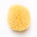 Kyte BABY Natural Sea Sponge  4 to 5 Inches
