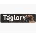 Taglory Medium Dog Collar - Soft Padded Neoprene Nylon Adjustable & Reflective for Training Gray (1 Pack) - International Shipping Available - Buy Online on GoSupps.com