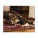 Azeeda 2 x 'Relaxed Cat' Microfiber Lens / Glasses Cleaning Cloths (LC00004677)