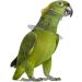 Hemobllo Parrot Anti-Bite Collar | Bird Recovery & Safety Neck Cover | Wound Healing & Feather Protection - Buy Online on GoSupps.com