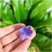Natural Crystal Cluster Stone Amethyst Quartz Ornaments Beautiful Crystal Cluster 5PC - Buy Online on GoSupps.com