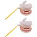 2 Sets of 1:1 Human Teeth Model with Toothbrush - Ideal for Dental Care Education & Prosthesis Study for Students - Buy Online on GoSupps.com