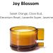 Buy No. 2 Joy Blossom Scented Candle - Sweet Orange & Clove Bud | Non-Toxic Aromatherapy | Luxury Gift | Recycled Glass - 20-30 Hour Burn Time - Buy Online on GoSupps.com