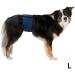 Shop Trixie Belly Band for Male Dogs - Size L (55-65 cm) | Comfortable & Secure Solutions for Pet Parents - Buy Online on GoSupps.com