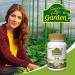 Nature's Plus Source of Life Garden Iron - 30 Vegan Capsules for Enhanced Energy - Buy Online on GoSupps.com