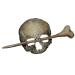 Handmade Punk Skull Hair Needle & Clip - Dead Head Halloween Hairpin with Artificial Bone - Buy Online on GoSupps.com