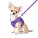 Femax dog harness with leash for small medium dog cats soft mesh puppy dishes breathable breast dishes adjustable reflective no pull vest chihuahua cat xs (chest 26-29cm) purple