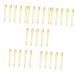 FRCOLOR 30 Pcs Face Cream Scoop Makeup Dig Spoons Portable Makeup Spoons Skin Care Cream Spoons Facial Mask Spoons Makeup Pick Spoons Makeup Dig Scoops Massage Spoons Mini Makeup Spoons 1 Count (Pack of 1) Goldenx6pcs