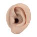 Simulation Silicone Ears Model Fake Body Parts Displays for Piercing Practice Dark Skin Teaching Aid for Medical Classes with Canal Jewelry Display Earrings Teaching Tool (Right 6007706 00 D)