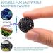 OSATNB 100 Bioco Balls for Ultra Quiet 4-in-1 Aquarium Filter | Best for 500-1800L/h - Improve Your Aquarium s Filtration - Buy Online on GoSupps.com