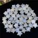 Gemstone Natural Folk Crafts Crystal Blue Moonstone Stars 10pcs for Gifts - Buy Online on GoSupps.com