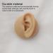 WEHOMY Silicone Left Ear Model for Teaching Instruction - Realistic 3D Display Tool Skin Color - Buy Online on GoSupps.com