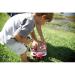 Shakespeare Youth Fishing Rod and Spincast Reel Lighted Kit - Disney Cars | Kids' Fishing Set - Buy Online on GoSupps.com