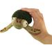 Woolbuddy Sea Turtle Needle Felting Kit - Handmade Felt Animal Kit with Wool, Needles, and Instructions - Buy Online on GoSupps.com