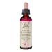 BACH FLOWERS Star of Bethlehem drops 20 ml