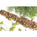 Dill seed 150 g natural Dill seeds Aneth natural dill seeds  - Buy Online on GoSupps.com