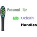 10 Replacement Brushes for OCLEAN Electric Toothbrush - Compatible Black Brush Heads - Buy Online on GoSupps.com