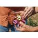 Buy Oregon's Wild Harvest Milk Thistle - 90 Gelatin Capsules for Liver Health - Buy Online on GoSupps.com