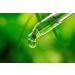 Alphapower Natural Erythritol & Stevia Sweetener - Calorie-Free Vegan Sugar Substitute for Cooking & Baking (100ml) - Buy Online on GoSupps.com