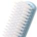 Home Shoes Brushes Multipurpose Washing Brush Shoe Brush Household Cleaning Accessories Shoe Cleaning Plastic Shoe Brush Bathroom Tool Brush(Blue) - Buy Online on GoSupps.com